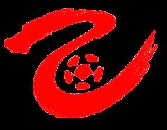 中乙 陕西联合vs湖南湘涛20240824