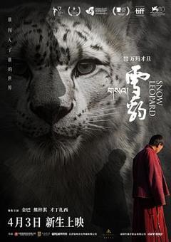 雪豹2023[电影解说]