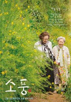 郊游2023[电影解说]