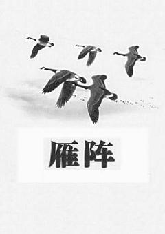 雁阵1991[电影解说]