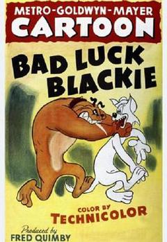 厄运小黑猫[电影解说]