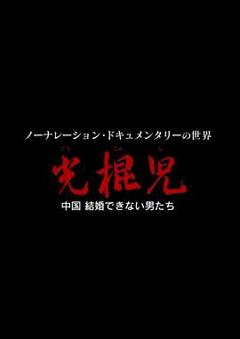 光棍儿：中国结不了婚的男人们[电影解说]