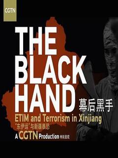 幕后黑手——“东伊运”与新疆暴恐