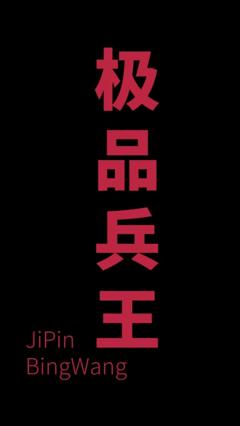 总裁的极品兵王