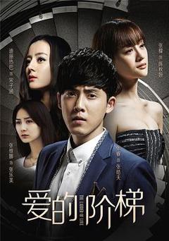 爱的阶梯未删减版