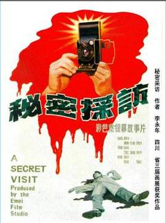 秘密采访[电影解说]