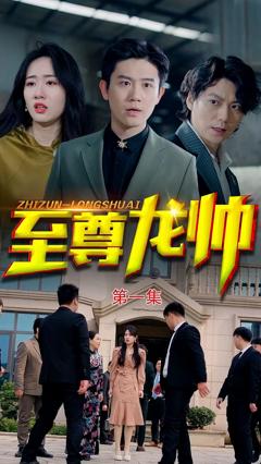 至尊龙帅合集版