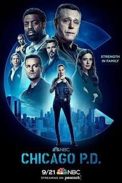 芝加哥警署第十季