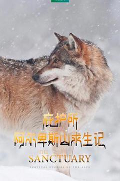 庇护所：阿尔卑斯山求生记[电影解说]