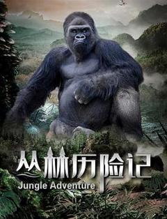 丛林历险记2020