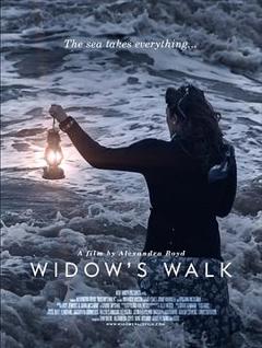 寡妇之行[电影解说]