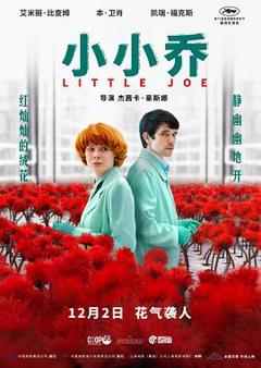 小小乔[电影解说]