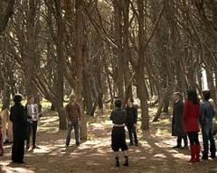 全能约翰逊兄弟第二季