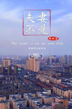 夫妻不是同林鸟