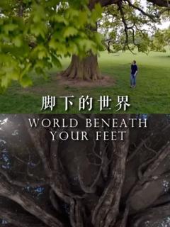 脚下的世界