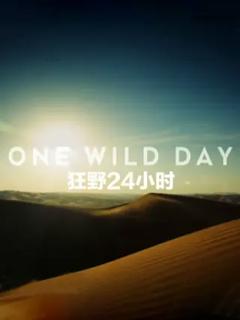 野性24小时第一季