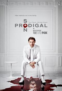 浪子神探第二季