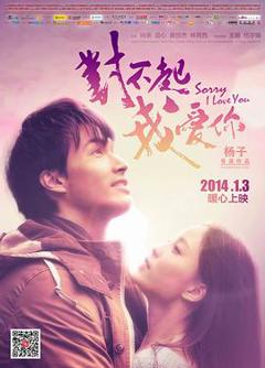 对不起，我爱你2014