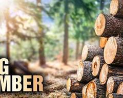 终极伐木达人 第一季