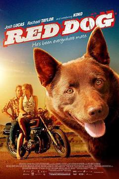 红犬历险记