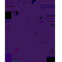 英超 狼队vs布莱顿20250510