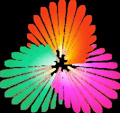 全运会男篮资格赛 上海vs河北20250606