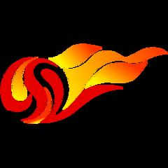 中超 上海申花vs天津津门虎20250625