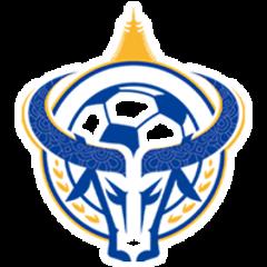 2025年村超 山东朱家庄村足球队1.1广东和平商会足球队20250821