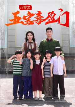 八零之五宝喜盈门