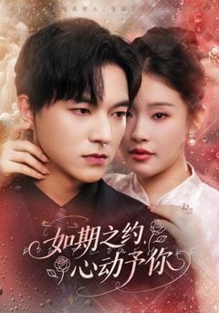 如期之约心动予你