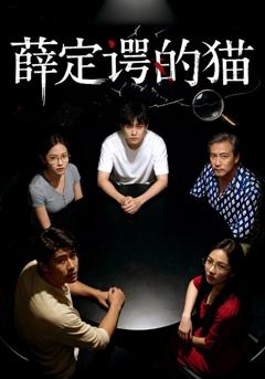 短剧薛定谔的猫