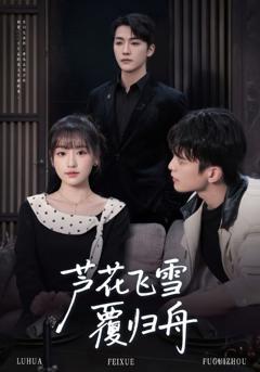 芦花飞雪覆归舟