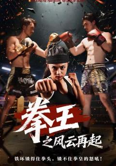 拳王之风云再起