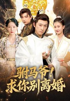 驸马爷！求你别离婚