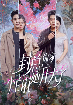 封总，你家小白花她开大了