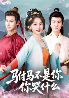 驸马不是你，你哭什么