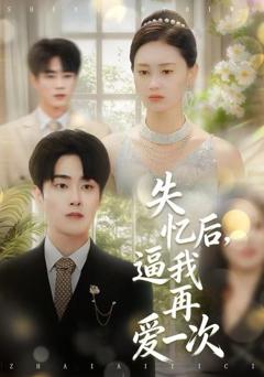 失忆后，逼我再爱一次