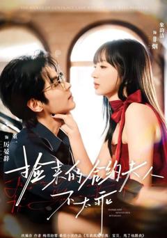 捡来的合约夫人不太乖