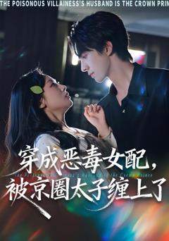 穿成恶毒女配被京圈太子缠上了