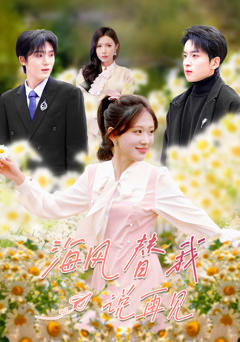 海风替我说再见