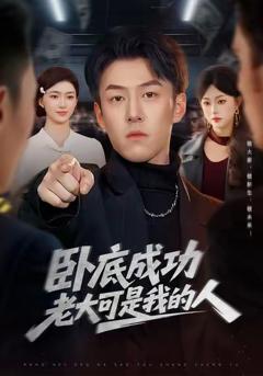 卧底成功老大可是我的人