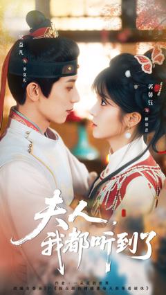 夫人，我都听到了