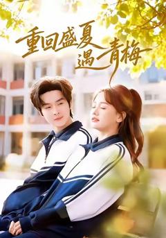 重回盛夏遇青梅