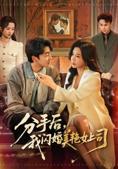 分手后，我闪婚美艳女上司