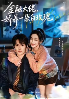 金融大佬，娇养一朵白玫瑰