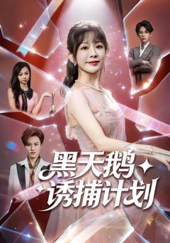 黑天鹅诱捕计划