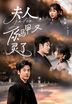 夫人你马甲又灵了