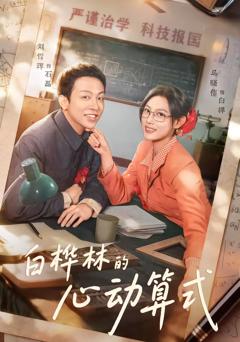 白桦林的心动算式