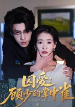 囚爱：顾少的掌中雀