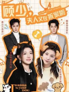 顾少，夫人又在拆家啦